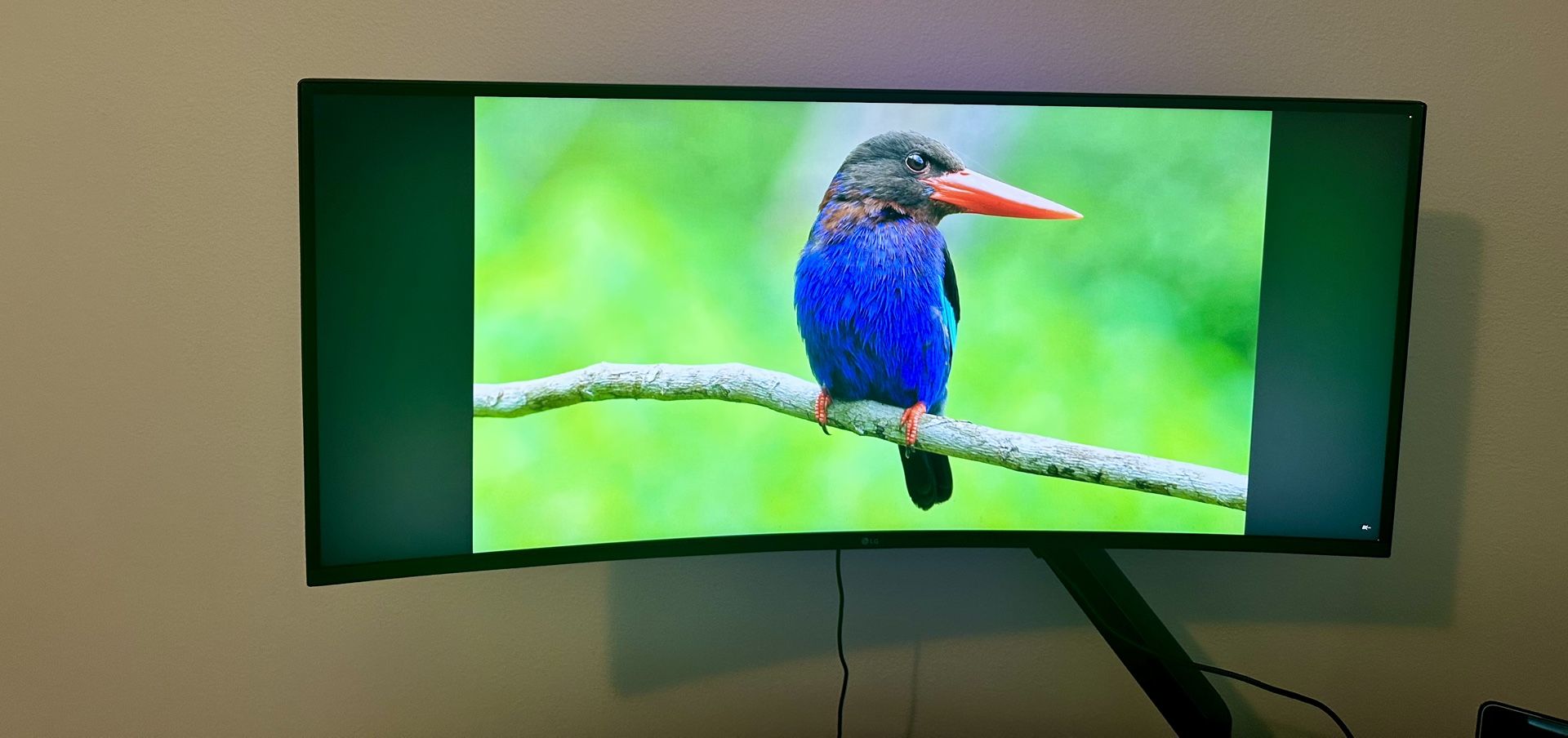 LG 38GN950-B 38″ Curved Ultrawide • 3840×1600 • 144 Hz (OC 160) • Nano IPS • Crosshair (Aim Reticle)