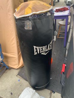 Everlast punching bag
