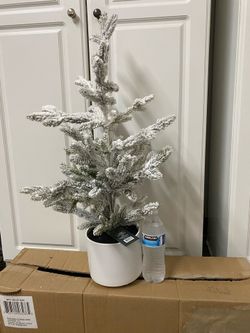 Threshold Christmas Tree