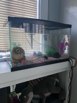 Aquarium