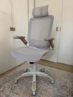 GABRYLLY Ergonomic Mesh Office Chair w/ Headrest — Like New