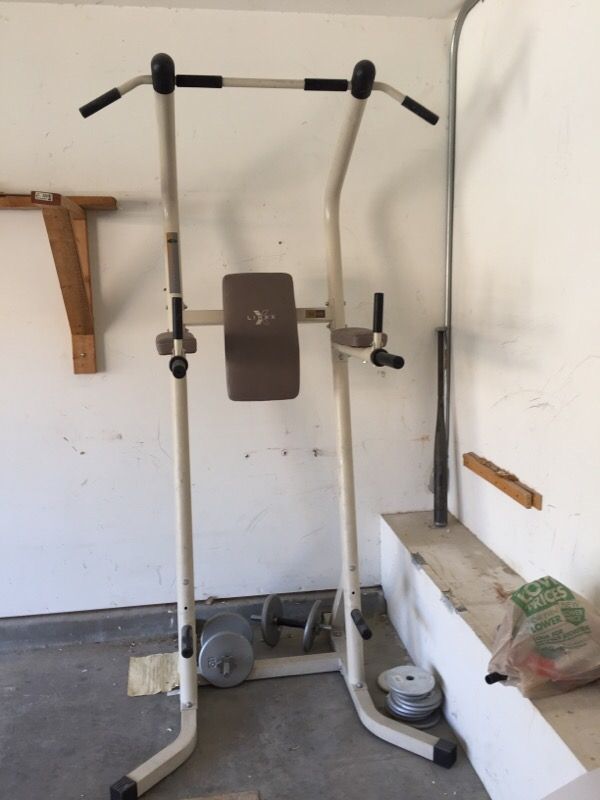 Linex x2.25 Pull-up Dip machine