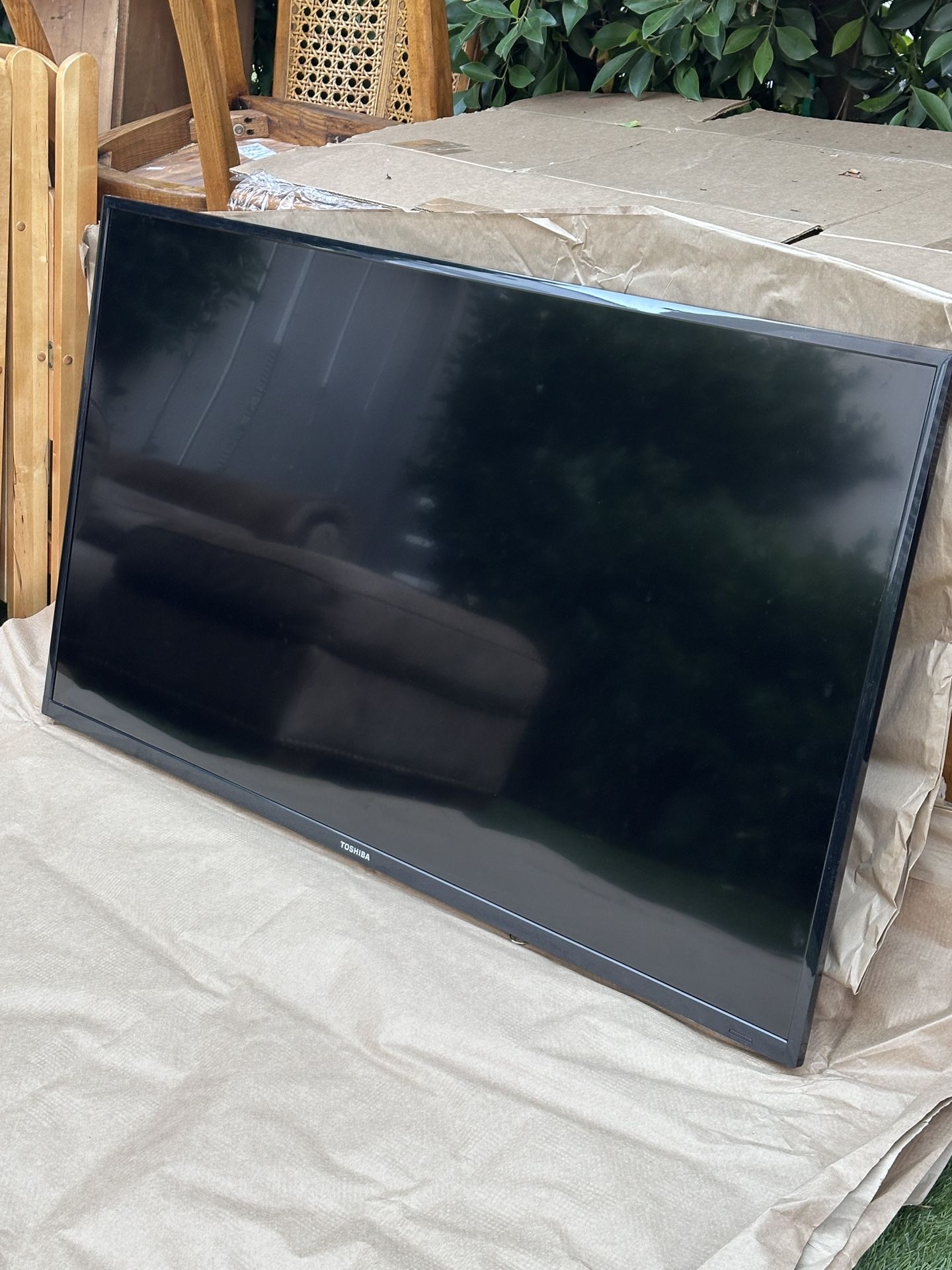 Toshiba TV 55” Diagonal In Beverly Hills
