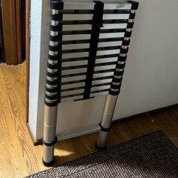 Telescope Ladder 