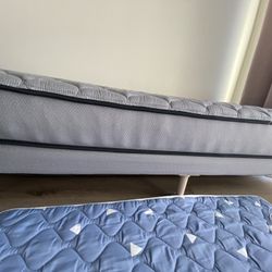 Single Bed & Mattress for Sale (Like New) 