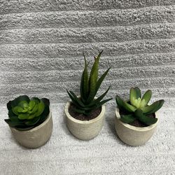 Mini Artificial Plant, Set Of 3