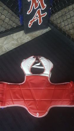Boxing/MMA body protector