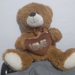 13 Inch Teddy Bear!