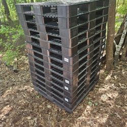 10 Plastic Pallets 