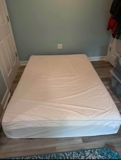 Full-size plush Bob o pedic