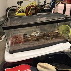 20 Gallon Terrarium