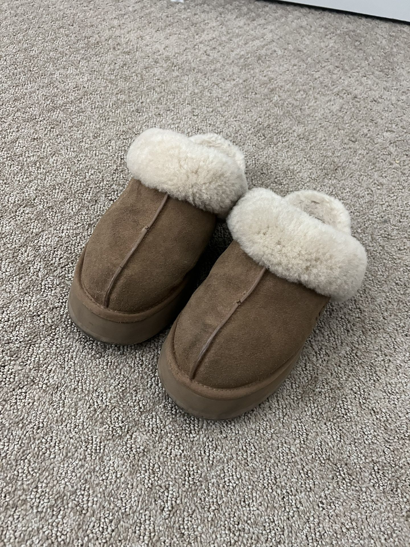 tasman uggs in size 6 womans