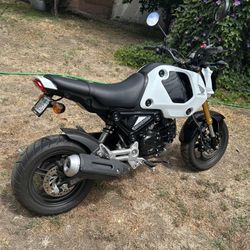 Honda Grom 2024