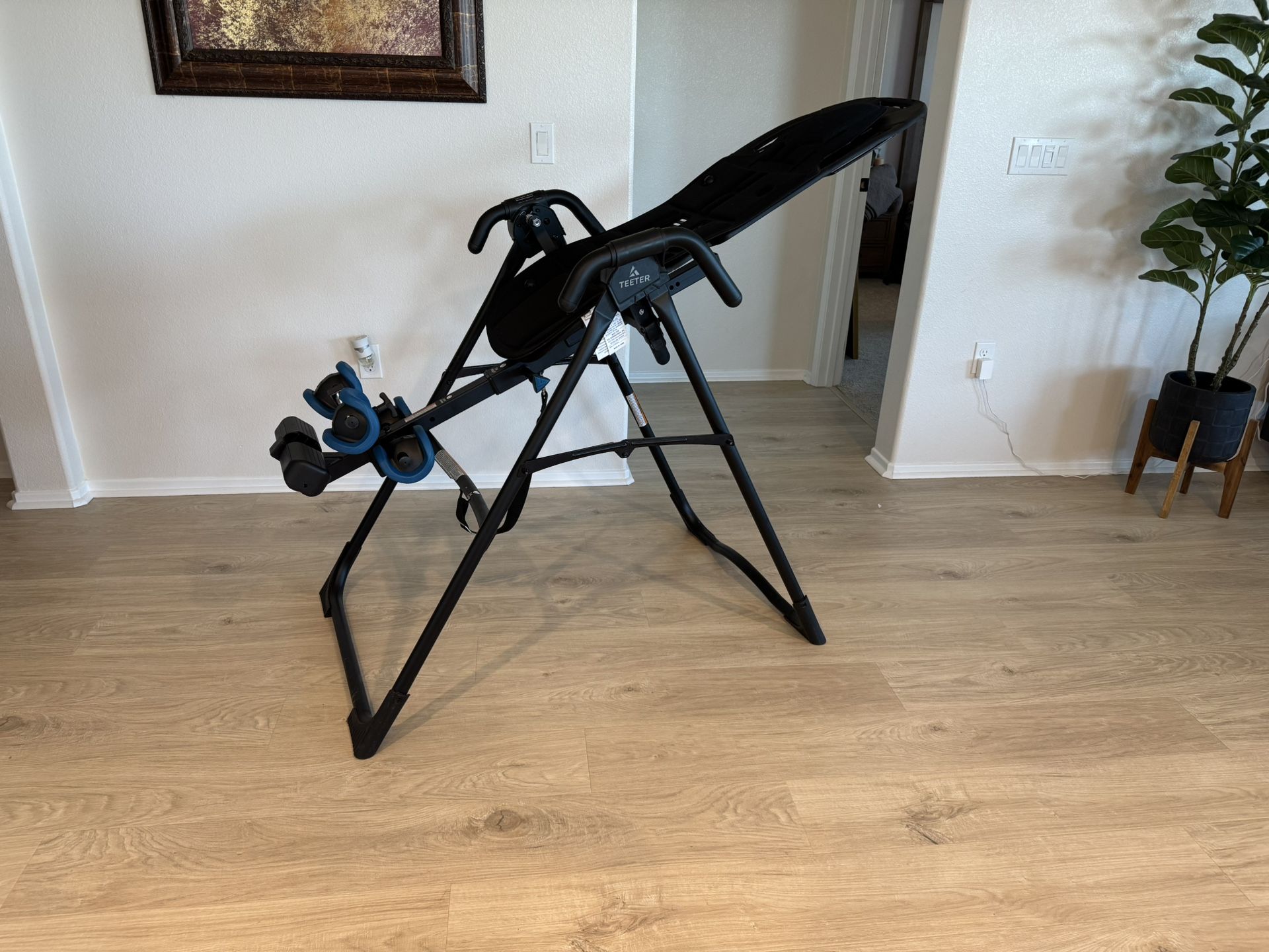 Teeter Inversion Table