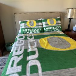 Twin Size Beds With Adjustable Mattresses 