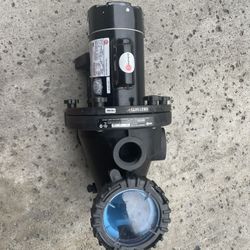 Everbilt 1.5 HP 230-Volt 2-Speed Pool Pump,1081 POOL MOTOR 