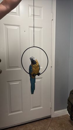 Macaw hanging decor
