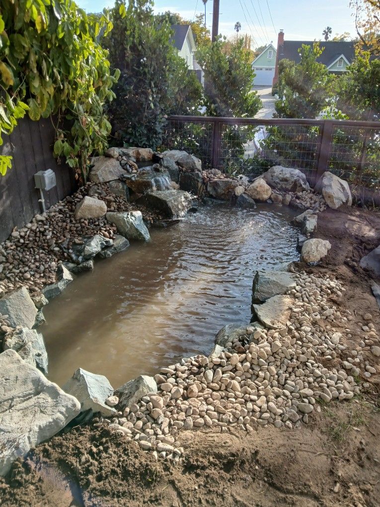 Koi Pond