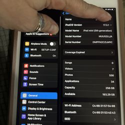 Mini 5 Ipad  