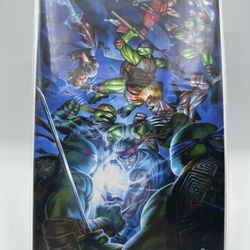 TMNT VS Street Fighter 1 Peejay Catacutan Retailer Exclusive Ninja Turtles IDW