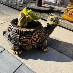 💚 💚 💚 Turtle planter  🐢 🐢 🐢 w Succulent Plants 🪴 