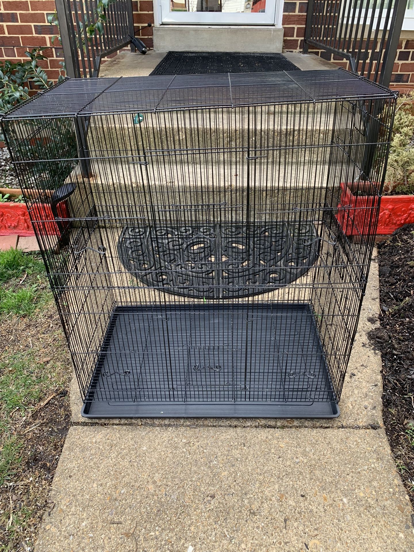 Bird Cage