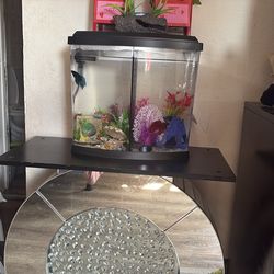 Furniture for the low