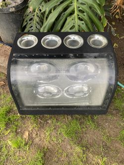 Dual 10 In Subwoofer 