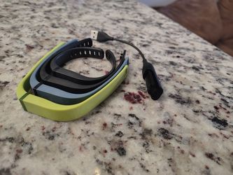 Fitbit Flex