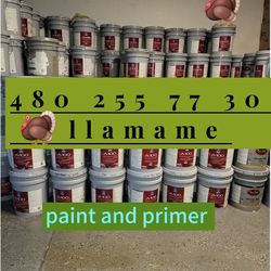 Pintura Y Primer 