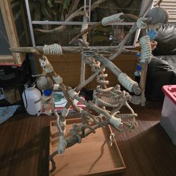 Custom Handmade Natural Driftwood Bird Tree Playground Stand