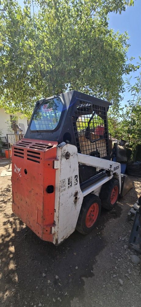 Bobcat For Sale