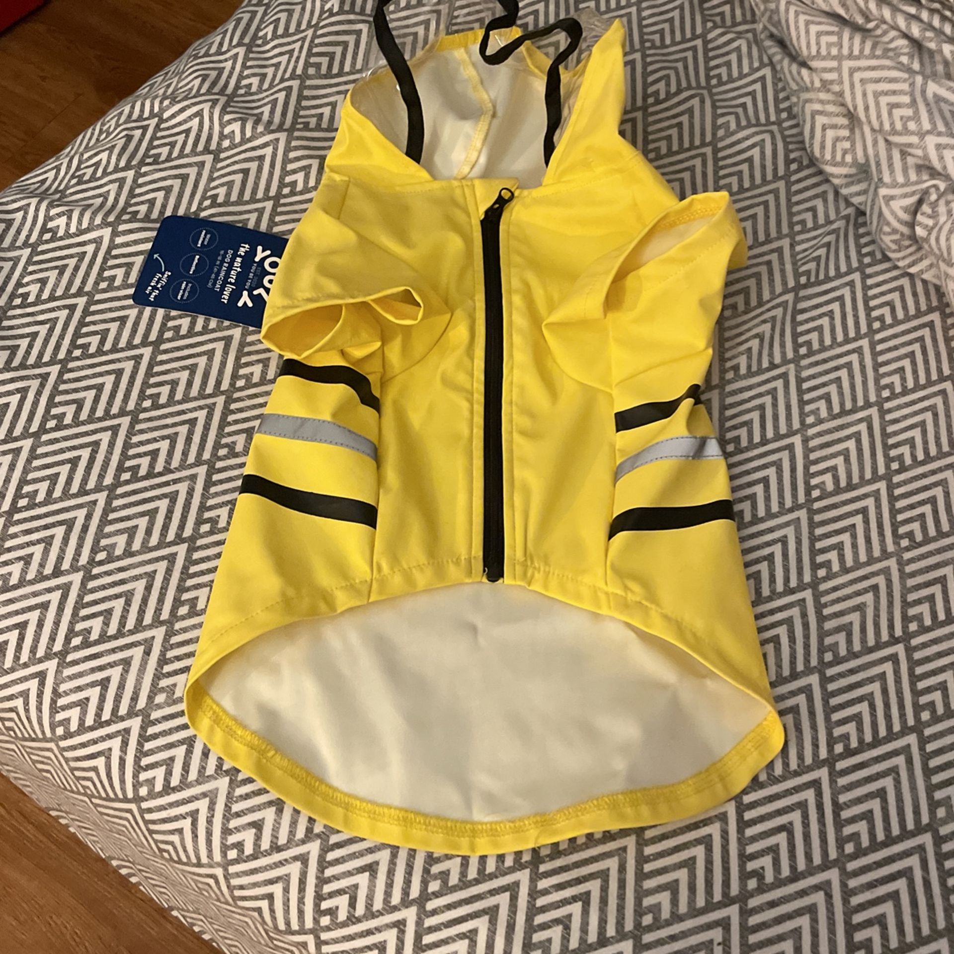 Dog Rain Cost medium