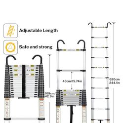 Telescoping Ladder 