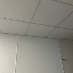 Tile / Tbar / Frp