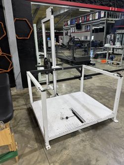 Elite Fts Belt Squat