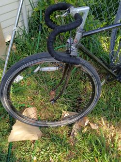 Shwin pixie bike