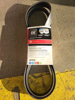 Serpentine belt