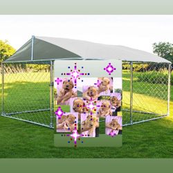 Dog Kennel For Golden Retrievers 