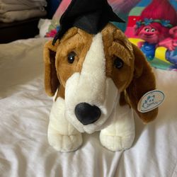 Graduation Dog