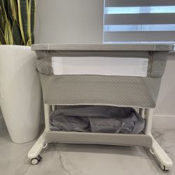 electric Moses basket