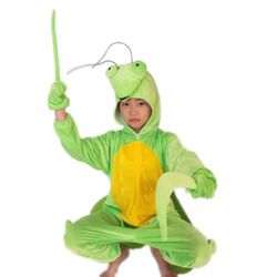Amazing Praying mantis Costume Beautiful Frog costume velvet Sz 10-12 