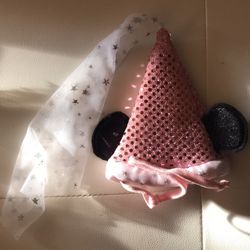 Walt Disneyworld Princess Pet Hat