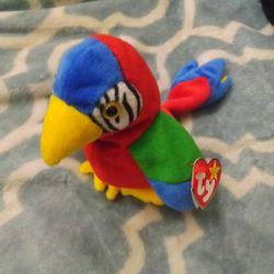 "Jabber" the Rare ty Parrot.