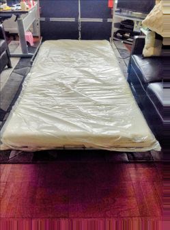 FREE Pull out couch bed