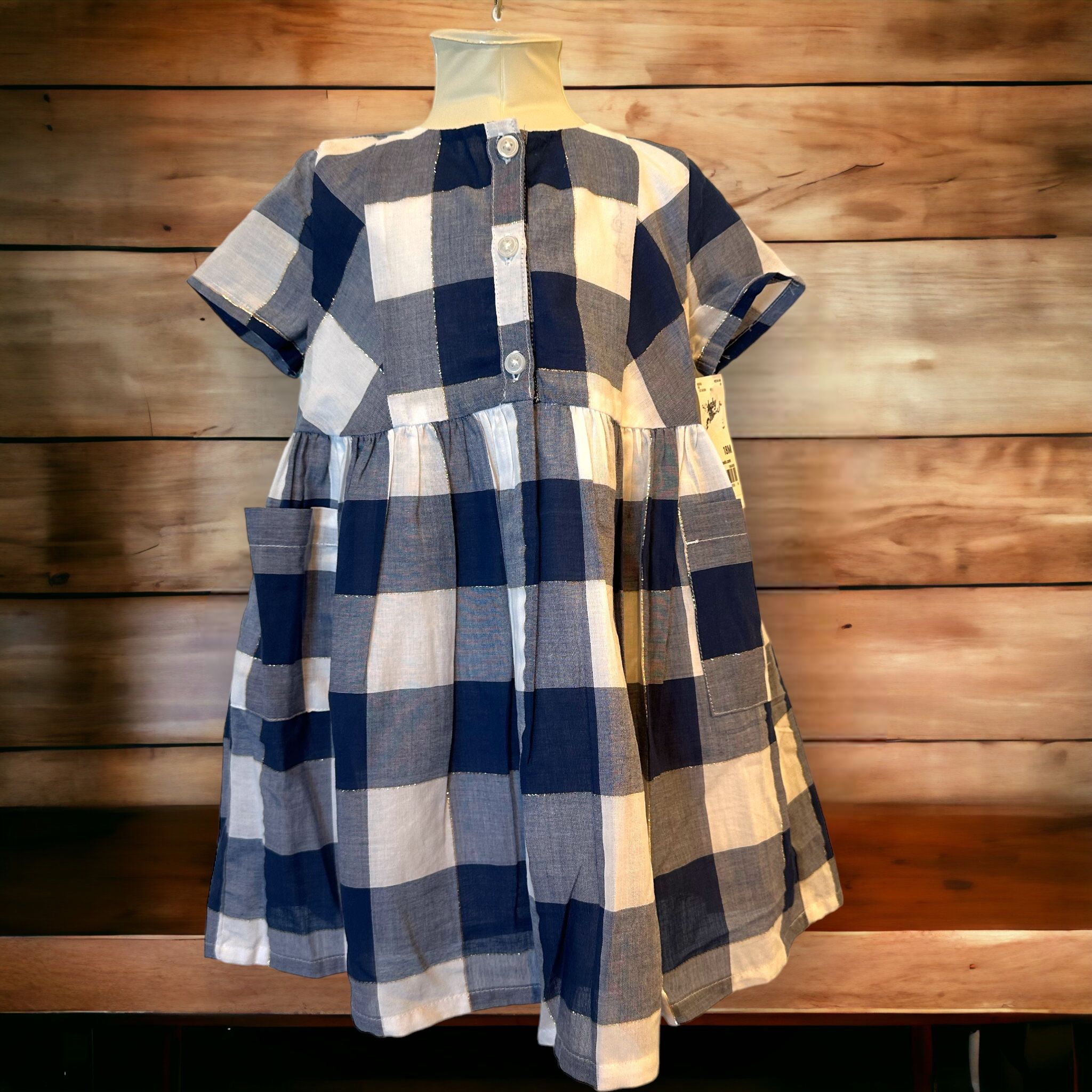 Oshkosh 18 Month Blue And White Plaid Button Up Dress