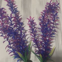 FISH TANK DECORATIONS PLANTS