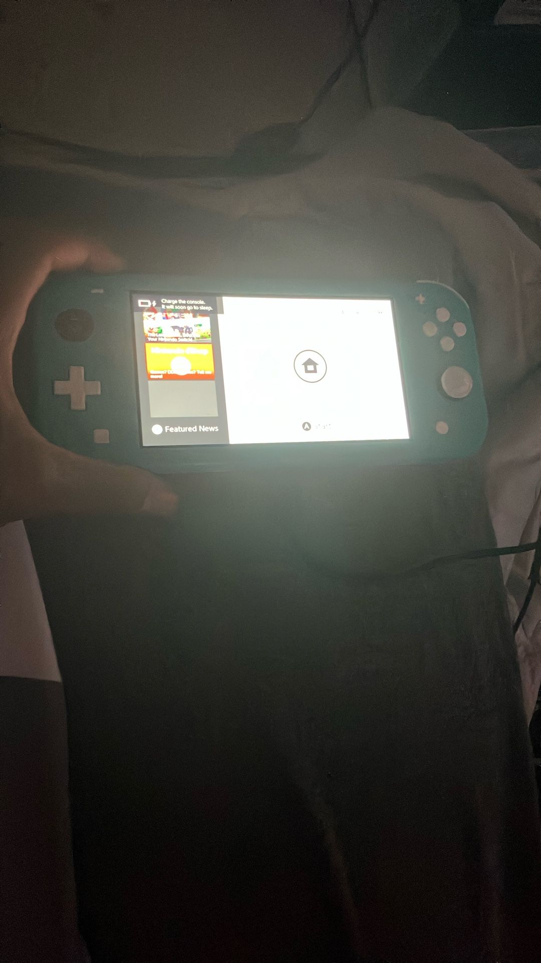 Switch Light With Controller