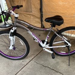 21speed Mountain Bike
