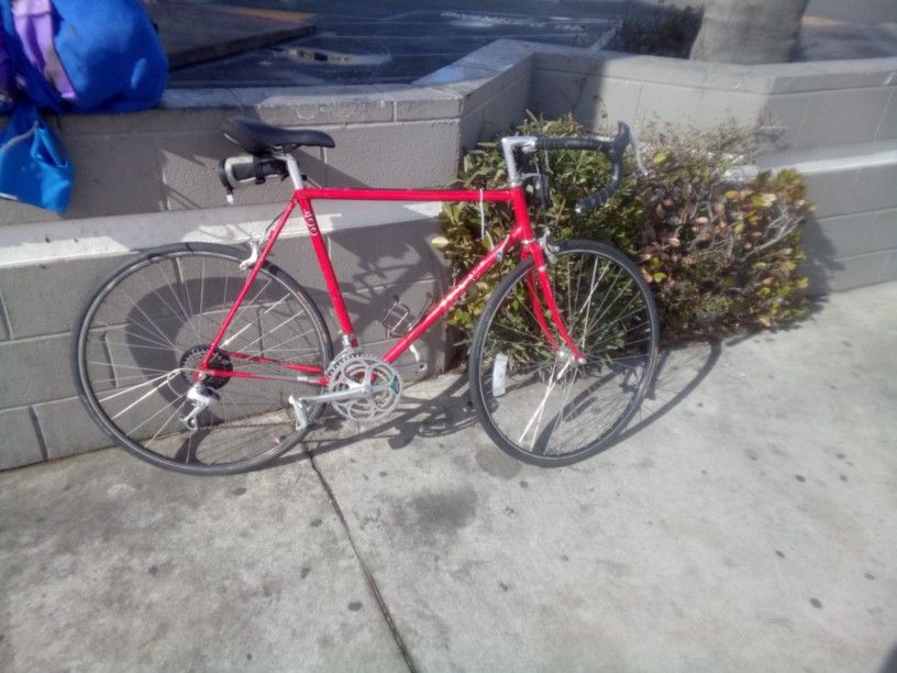 Road Bike (Fixie)